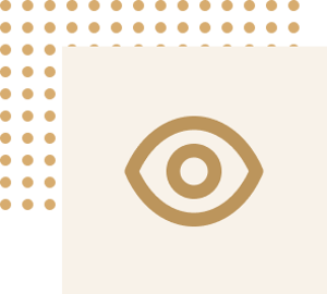 vision